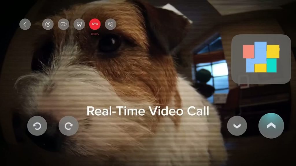 Videosamtalsfunktionen i appen: kameran på Qrevo MaxV visar husets hund